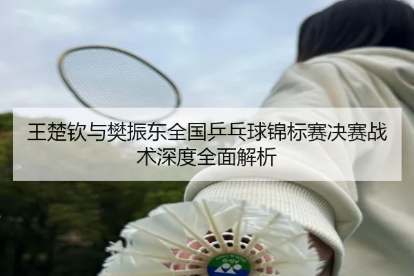 王楚钦与樊振东全国乒乓球锦标赛决赛战术深度全面解析